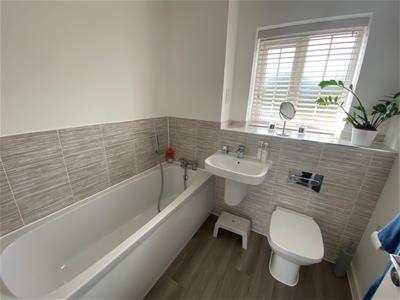Picture 20